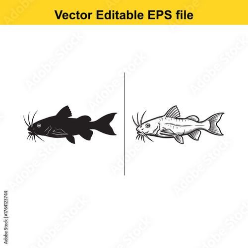 Vector art of silhouette and sketch of a catfish swimming