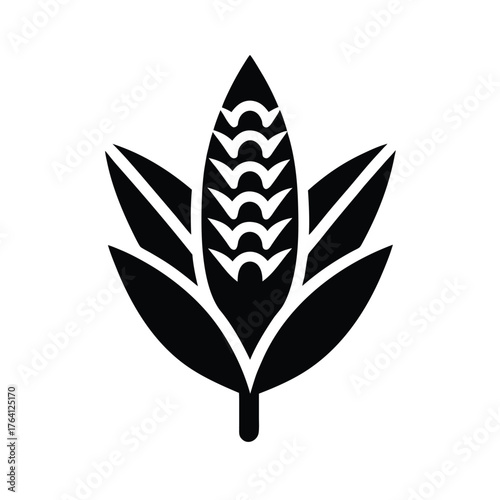 Pickerelweed Nut Border Icon Vector Illustration