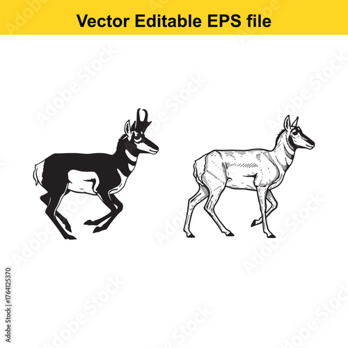 Vector art of two antelopes, one black silhouette and one detailed drawing