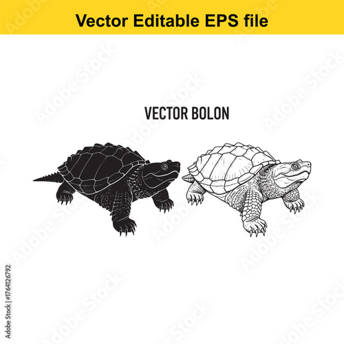Vector art of two turtles, one black silhouette and one detailed drawing