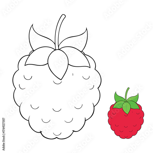 A berry coloring page featuring clusters of ripe, juicy berries on leafy stems. Fun for kids and adults to color, adding shades of red, blue, and purple for a vibrant look.
