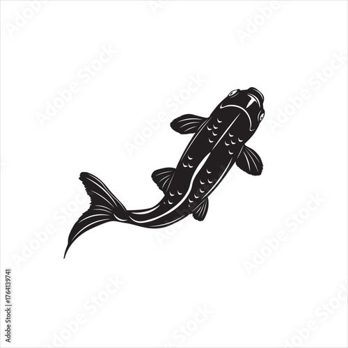 koi ornamental fish