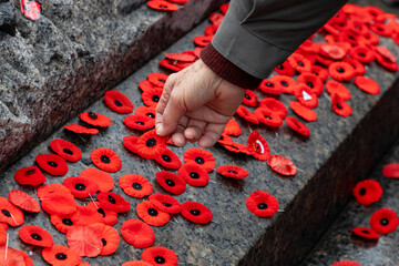 Fototapete Kanada Hand placing red poppy flowers on war memorial on Remembrance Day in Ottawa, Canada.  © Iryna