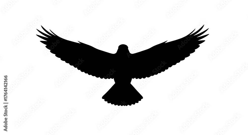 Fototapeta premium Eagle silhouette with spread wings, black hawk bird of prey icon, majestic flying falcon graphic for logo design and branding isolated PNG with Transparent Background