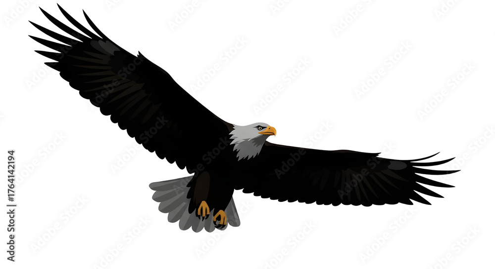 Naklejka premium Powerful bald eagle flying graphic illustration for logo design and patriotic projects isolated PNG with Transparent Background
