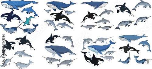 Marine Mammals Vector Set: Whales, Orcas, Dolphins, and Narwhals