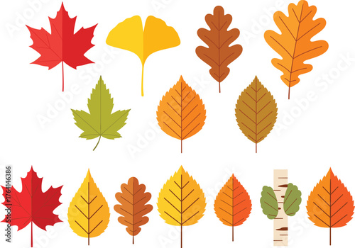 Autumn and Fall Leaves Vector Collection