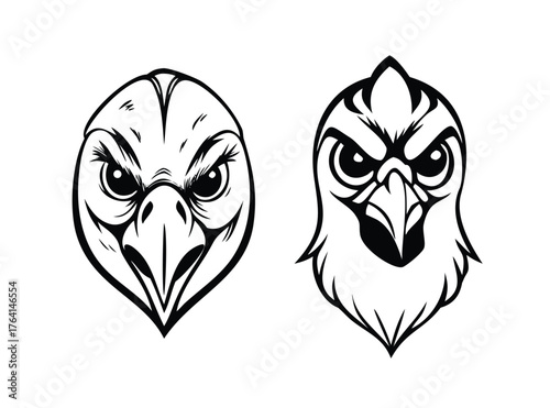 Bird of Prey Mascot Illustrations
