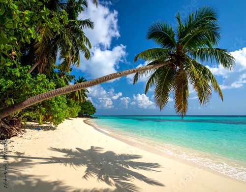 Fototapeta Naklejka Na Ścianę i Meble -  tropical beach with coconut palm trees