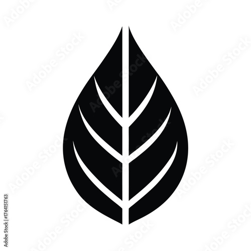 Water Willow Leaf Icon Vector Illustration