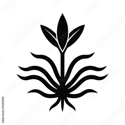 Water Plantain Root Icon Vector Illustration