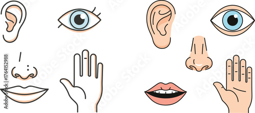 Simple Outline Human Senses Icons | Minimalist Eye, Ear, Nose, Hand & Lips Line Art