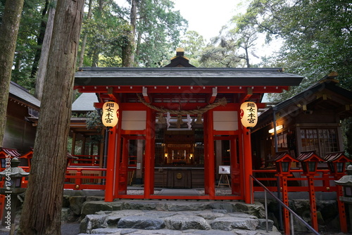 Принти на полотні 猿田彦大神を祀るパワースポット椿大神社