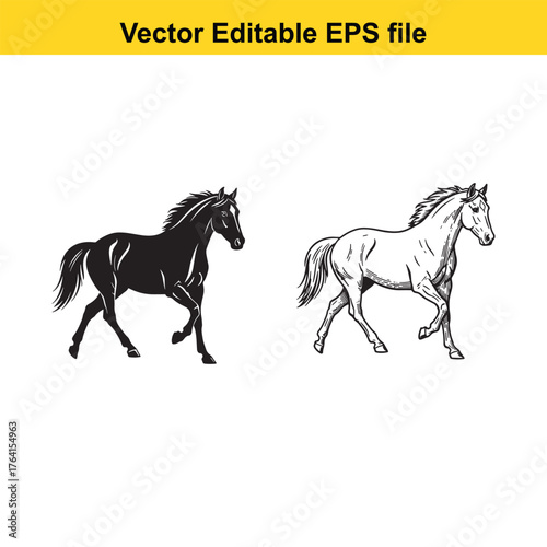 Vector art of two horse silhouettes, one black and one white outline