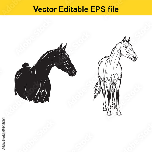 Vector art of closeup of a black horse head silhouette and a white horse head sketch