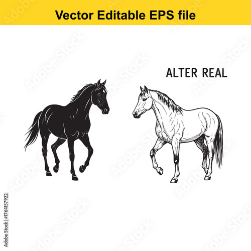 Vector art of two horses, one black silhouette and one white sketch
