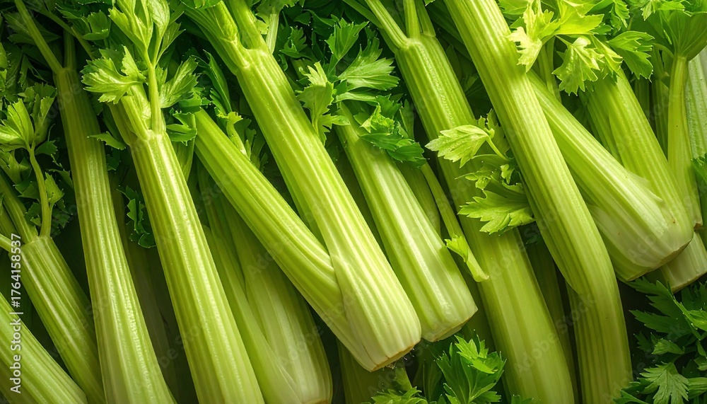 Fototapeta premium Fresh Celery Stalks with Green Leaves Healthy Vegetable Background CloseUp.