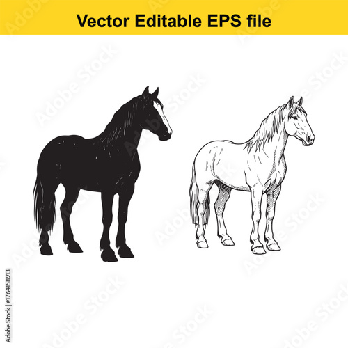 Vector art of two horses, one black silhouette and one detailed sketch, standing side by side