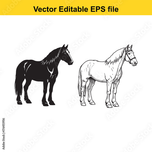 Vector art of two horses, one black silhouette and one detailed sketch, standing side by side