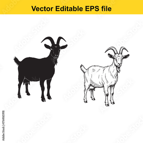 Vector art of two goats, one black silhouette and one detailed illustration, standing side by side