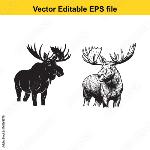 Vector art of two moose, one in silhouette and the other in detailed sketch, standing side by side