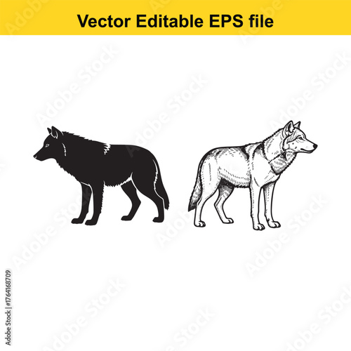 Vector art of two wolves, one in silhouette and the other in detailed sketch, standing side by side