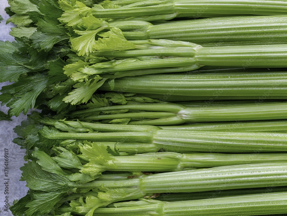 Fototapeta premium Fresh celery stalks with green leaves, neatly arranged