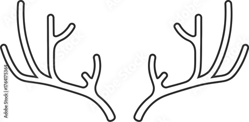 Antlers deer horn animal wildlife nature mammal forest stag hunting trophy art