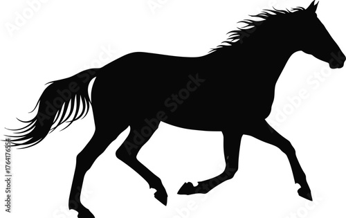 Horse equine mammal animal silhouette black running wild mustang equestrian mare