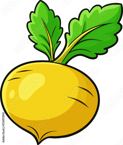 Rutabaga Vector Illustration – Root Vegetable Design for Farm, Organic, and Food Concepts