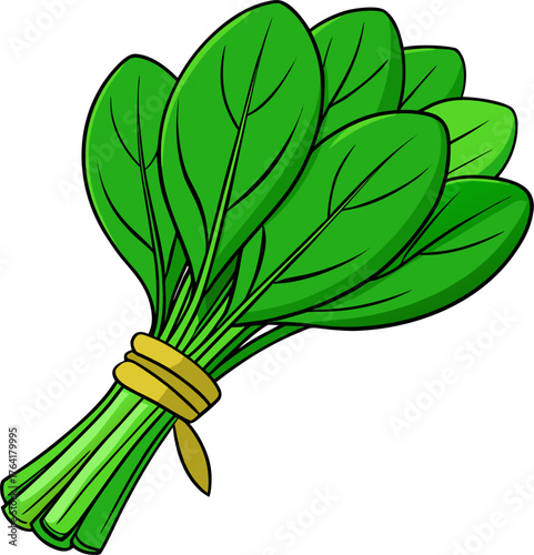 Spinach Vector Illustration – Fresh Leafy Green Vegetable Design for Healthy Food and Organic Themes