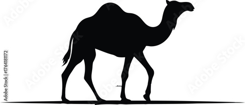 Camel desert silhouette travel tourism arabic arabian egypt middle east sand