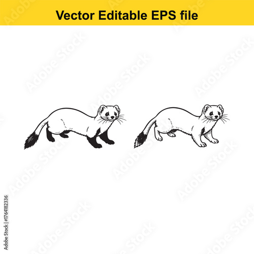 Vector art of two weasel animals in black and white