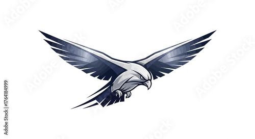 Eagle falcon bird animal predator hunter wildlife nature freedom flight wings sky