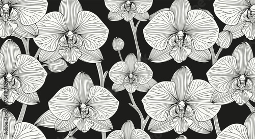 Monochrome seamless pattern of elegant orchid flowers.
