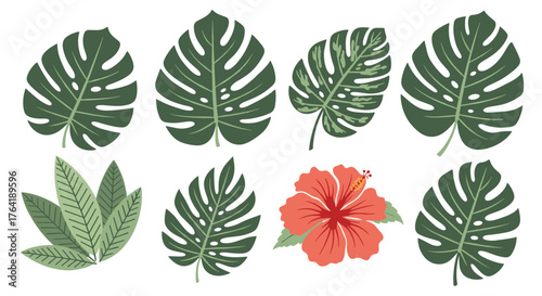 Tropical Foliage and Hibiscus Flower Collection.