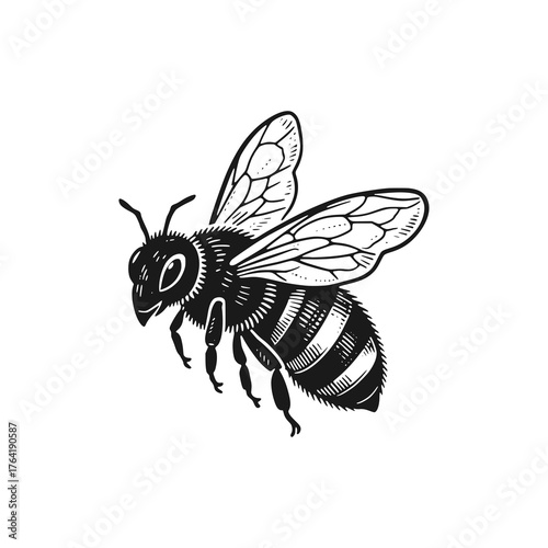 Bees looking for nectar. Black white vector illustration