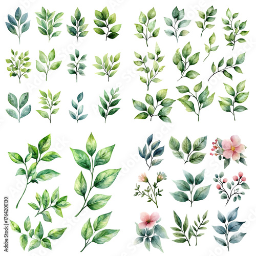 Watercolor floral illustration bouquet set - green leaves isolated on a transparent background