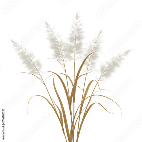 Bundle of Dried Wild Grass Isolated on transparent Background