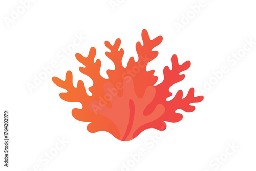 Coral reef marine life underwater ocean nature