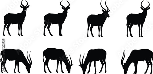 Antelope animal silhouettes standing and grazing, wildlife vector illustration, African savanna animals, horned mammal poses, cad drawing flat vector illustration