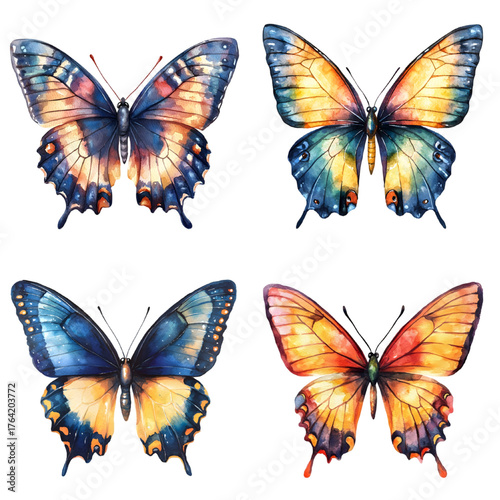 Watercolor hand drawn butterfly isolated on a transparent background