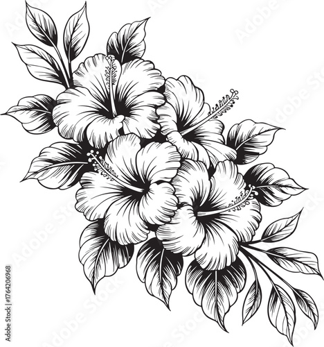 Cluster of hibiscus flowers with leaves in black and white illustration floral botanical