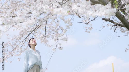 桜並木を見上げる若い女性　ライフスタイルイメージ