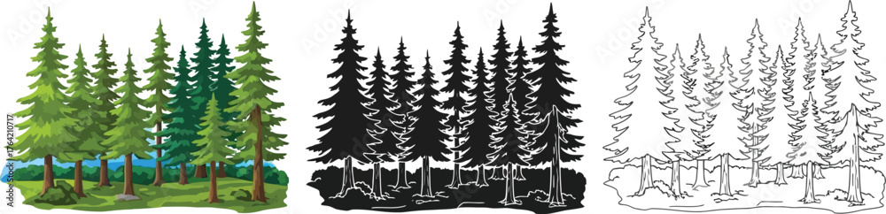 Obraz premium Evergreen forest trees, vector illustration set in different styles and drawing techniques