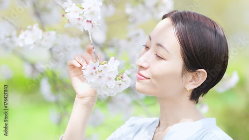 桜の花びらを見る若い女性　ライフスタイルイメージ