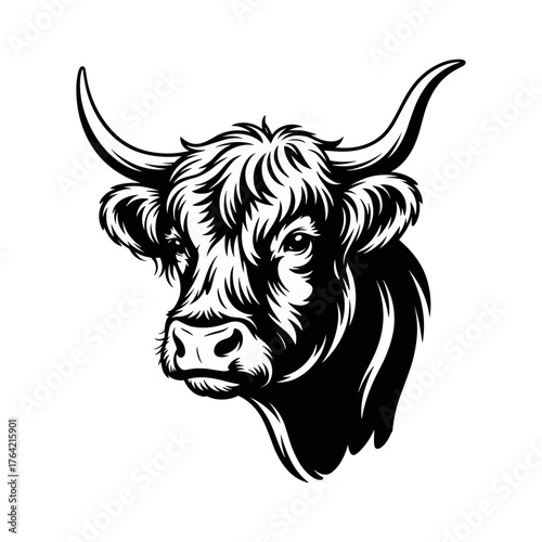 illustration of a shaggy bull or ox head with long horns, suitable for a logo or mascot
