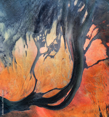 Tree of fire