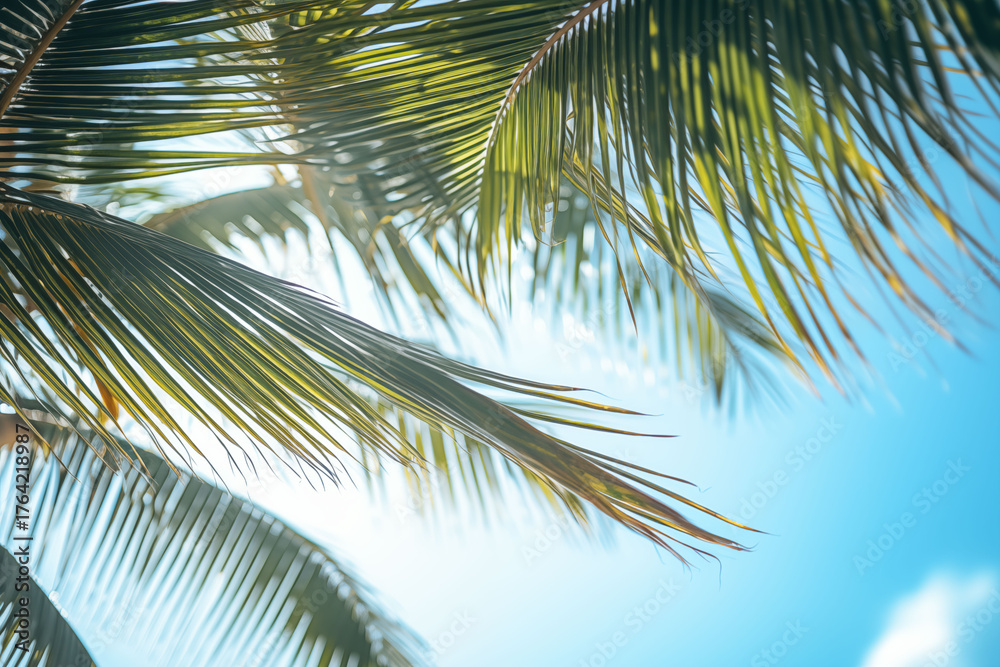 Fototapeta premium Coconut trees on the beach with bright blue sky