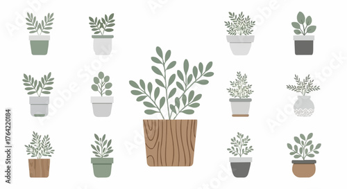 Collection of potted plants in various pots, perfect for home decor and interior design inspiration